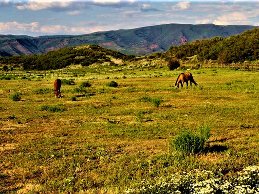 981 Mesa Road, (Elk Mountain Ranch), Old Snowmass (no longer available)