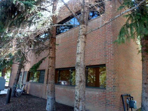 Aspen Commercial Office Space 225 N Mill Street- Suite 117 NOW AVAILABLE