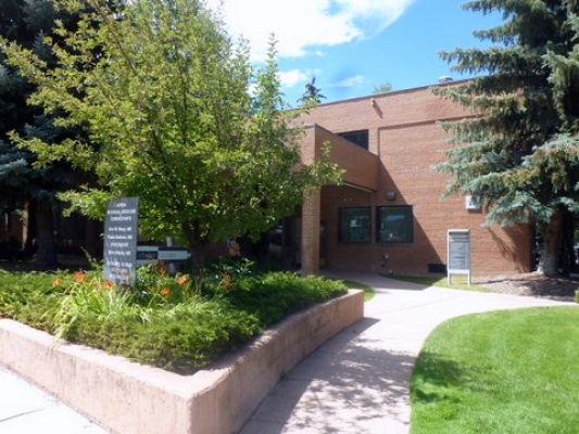 Aspen Commercial Office Space 225 N Mill Street- Suite 117 NOW AVAILABLE
